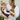 Toddler Carrier Merlot